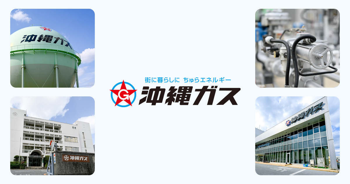 新プラン】沖縄ガスのでんきCO₂ゼロ美ら結プラン | 動画ライブラリー